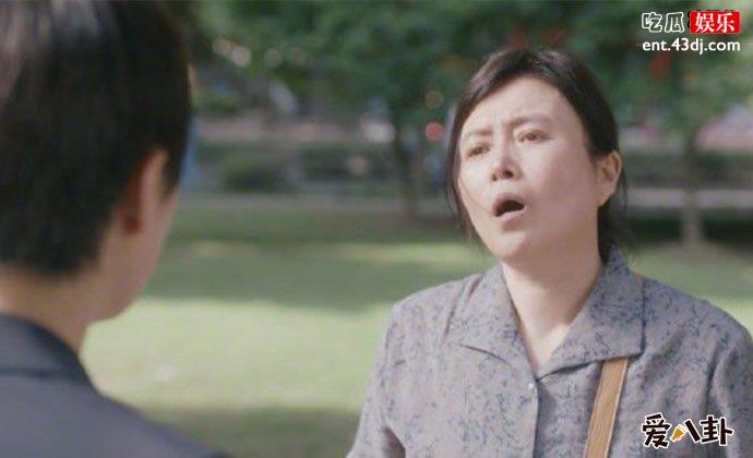 安家房似锦结局