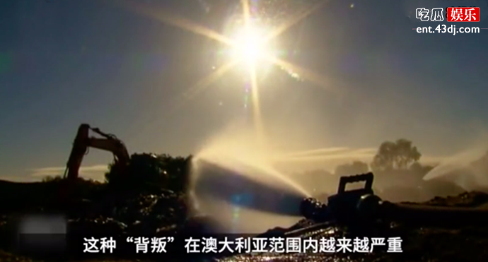 澳大利亚垃圾回收系统崩溃