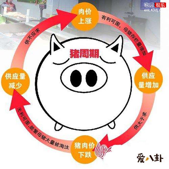 猪肉涨价的原因有哪些