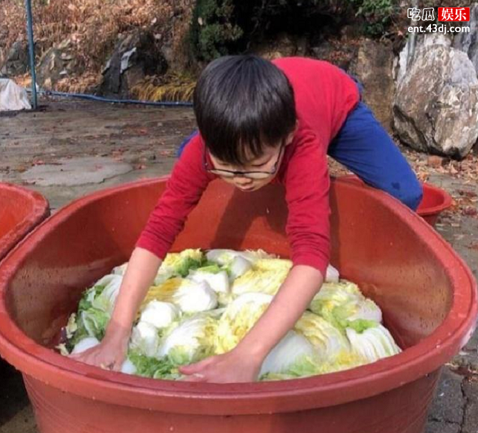 宋家三胞胎腌泡菜