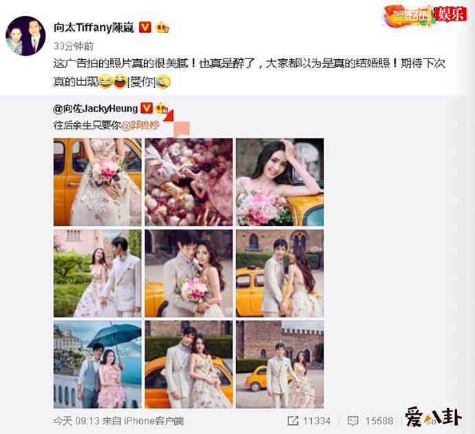 向佐郭碧婷两人的结婚是假的？