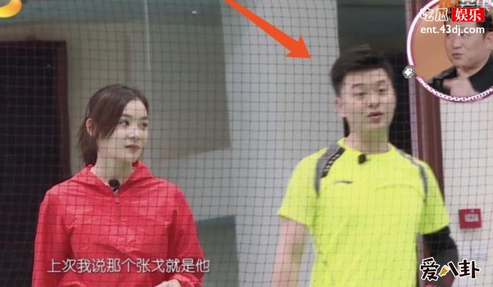 张戈个人资料