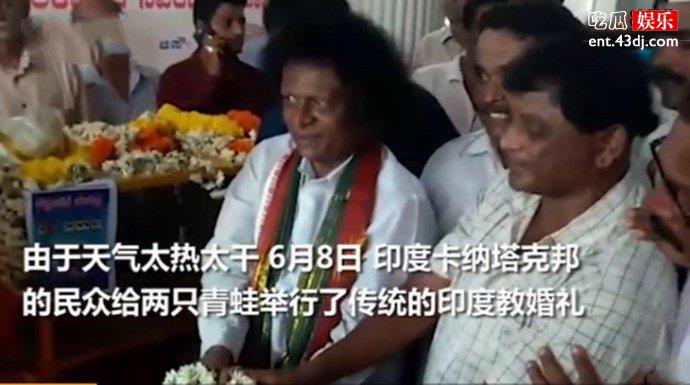 为求雨给两只青蛙办婚礼