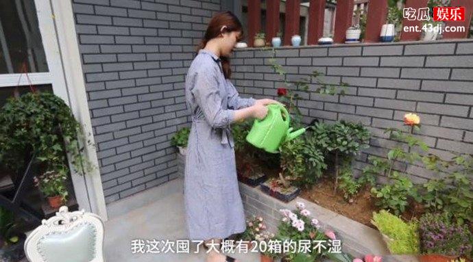 用尿不湿种花