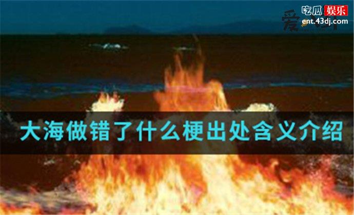 大海做错了什么是什么梗
