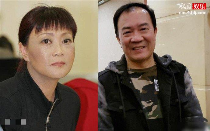 戴志诚为啥与杨蕾离婚