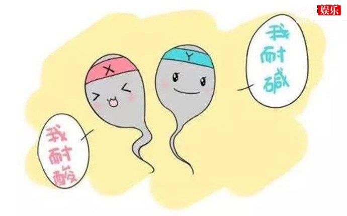 精子美容