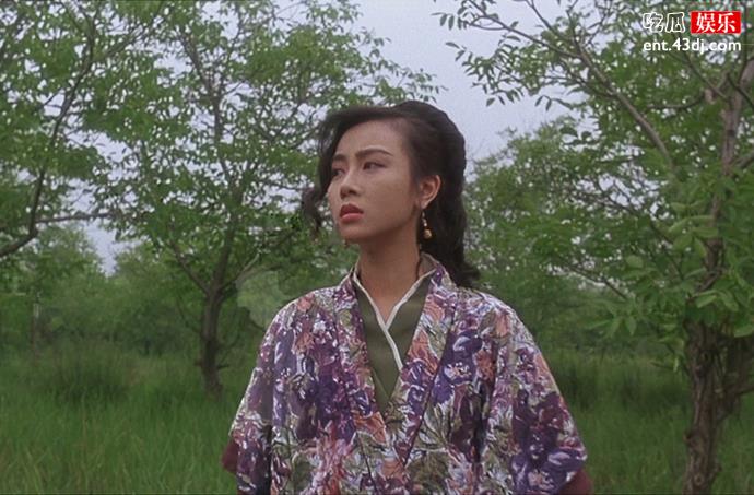 袁洁莹为什么至今未婚