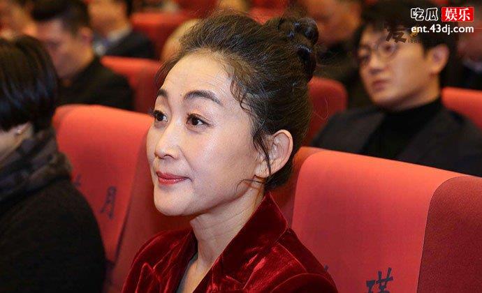 陈瑾不婚的原因