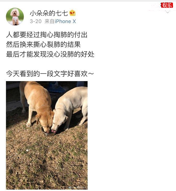 七七微博截图