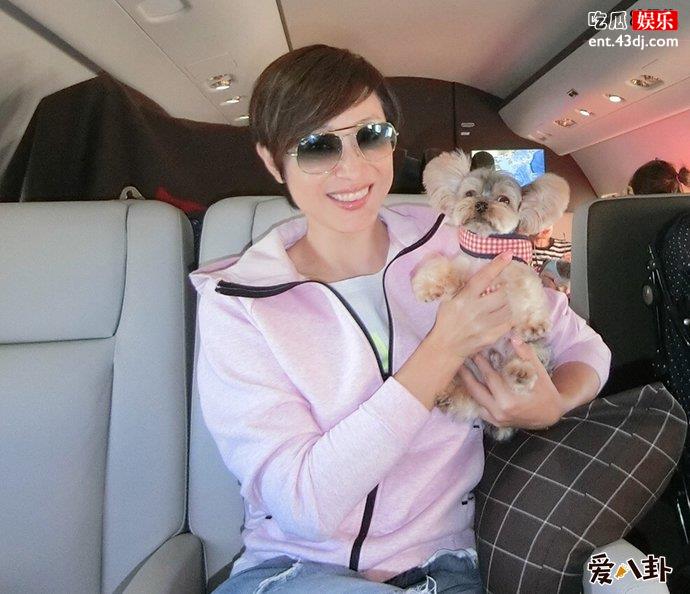 细数陈法蓉的历任男友