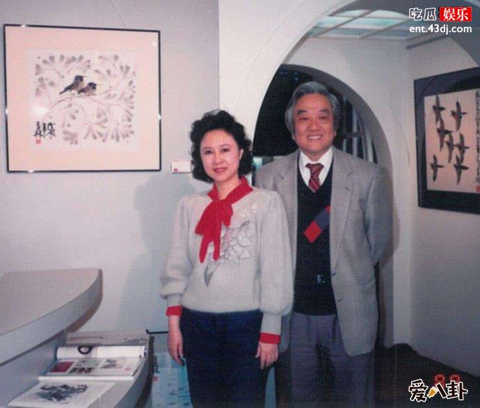 《梅花英雄梦》讲述的是什么