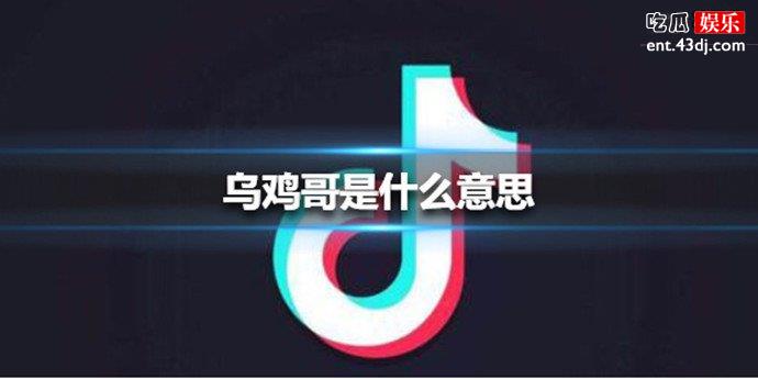 抖音乌鸡哥是什么意思