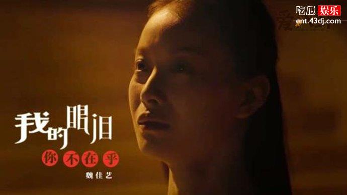 魏佳艺演唱的《我的眼泪你不在乎》