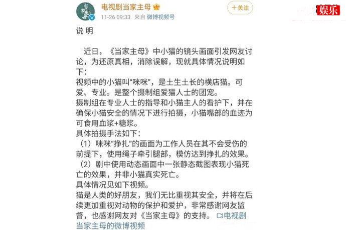 当家主母中毒猫画面引争议