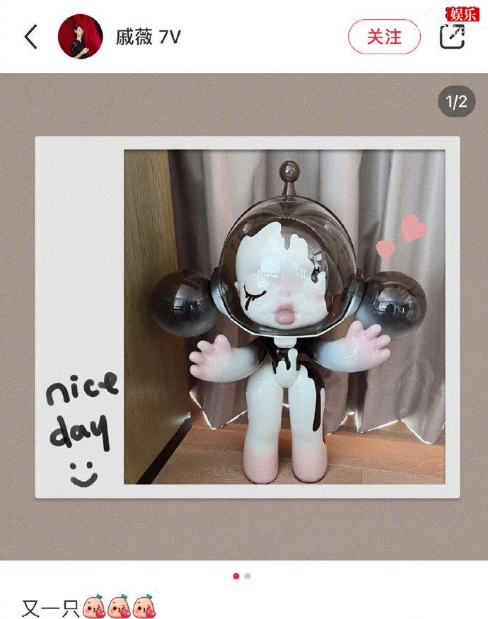 戚薇晒玩偶疑回应二胎落地