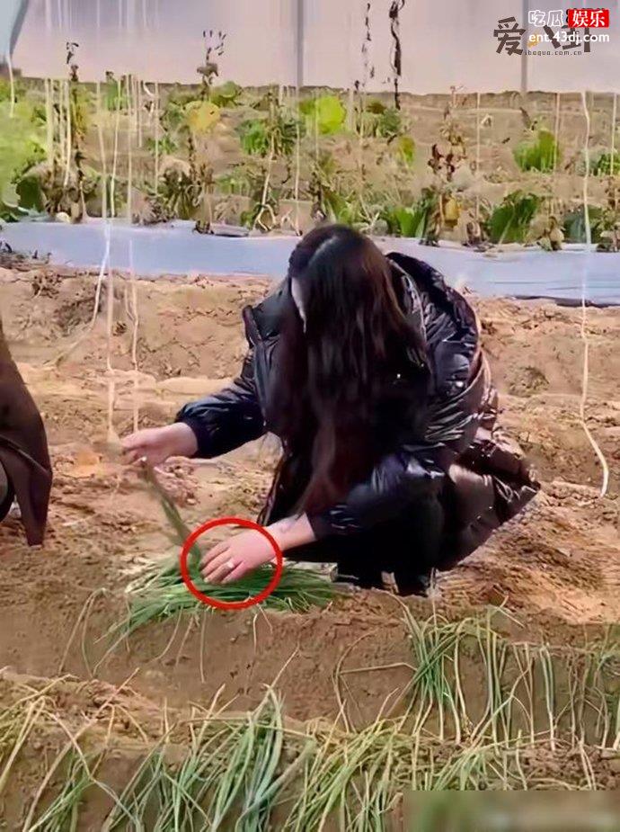 大衣哥儿媳被爆未到法定年龄就结婚