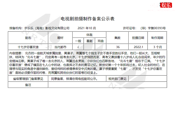 十七岁你喜欢谁剧情简介