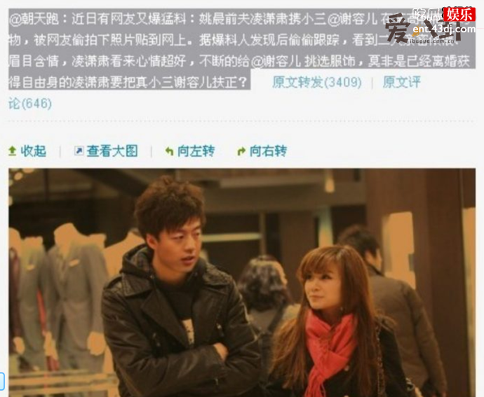谢容儿是凌潇肃和姚晨的小三