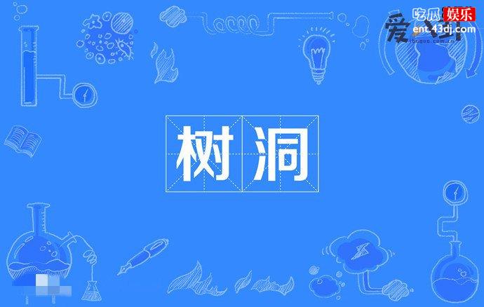 网络词树洞的来源