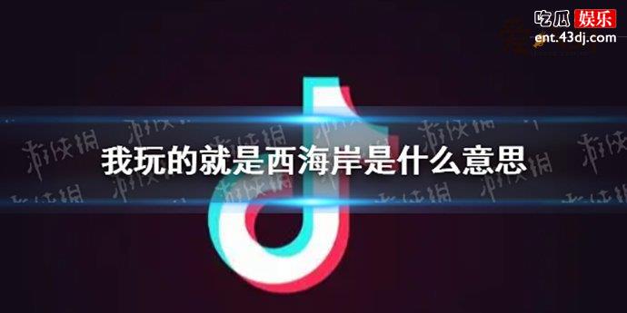 西海岸是什么梗