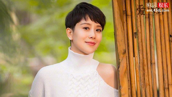 海清老公资料起底