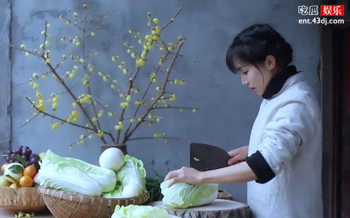 李子柒做饭照片