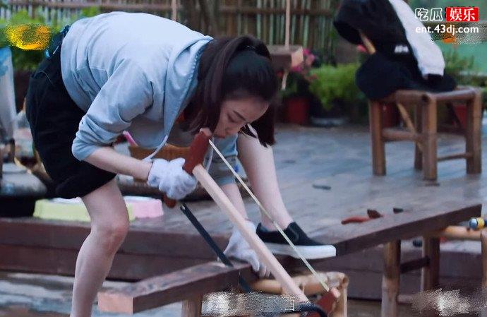 倪妮向往的生活剧照