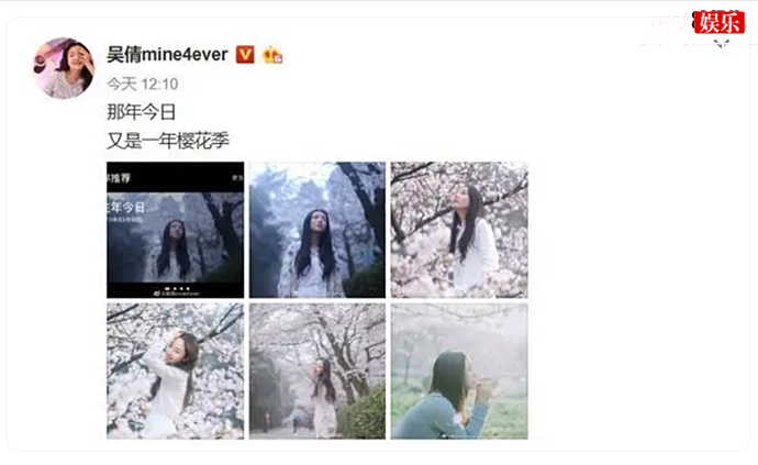 吴倩晒樱花树下的旧照