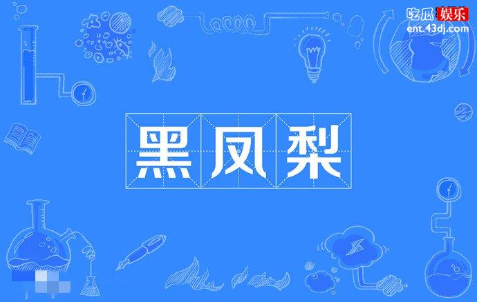 黑凤梨的意思介绍