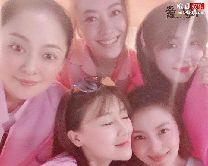 为什么叫泰迪姐妹团