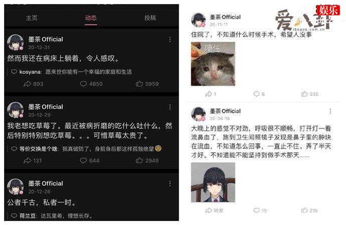 墨茶official动态