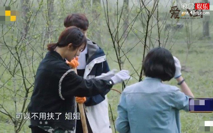 张艺兴叫杨紫姐姐