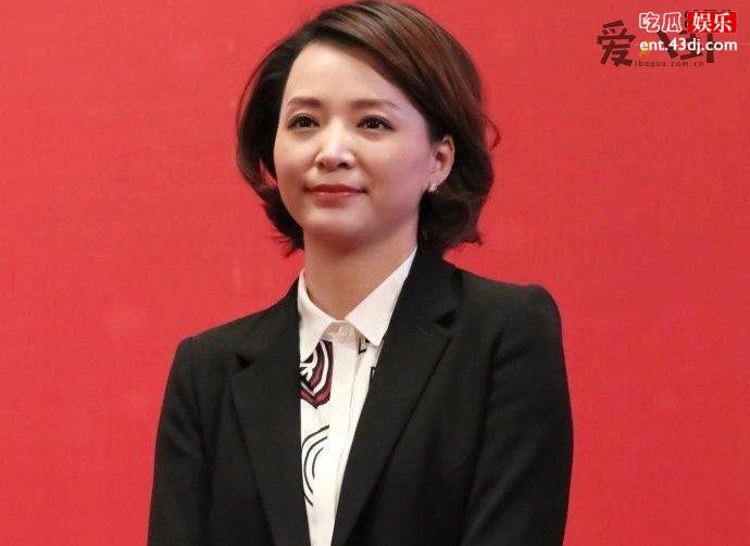 董卿感情起底