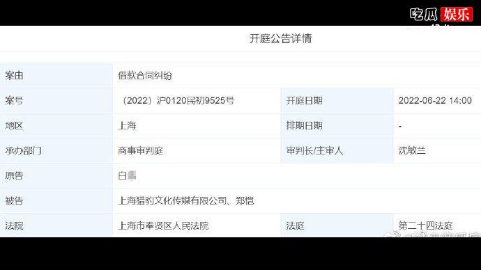 郑凯因借贷纠纷被起诉