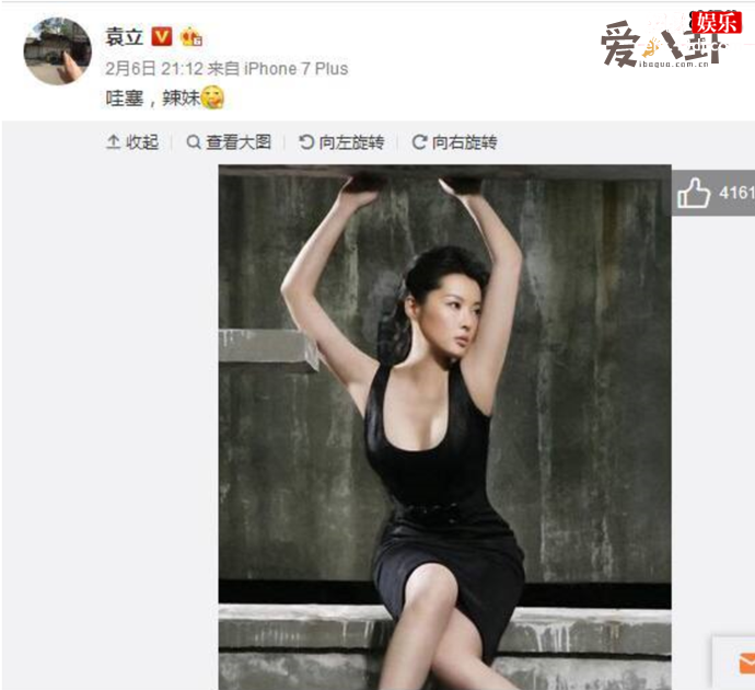 袁立当年是很火的内地女演员