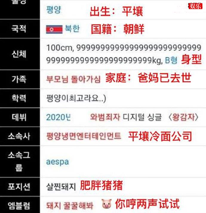 宁艺卓百度百科