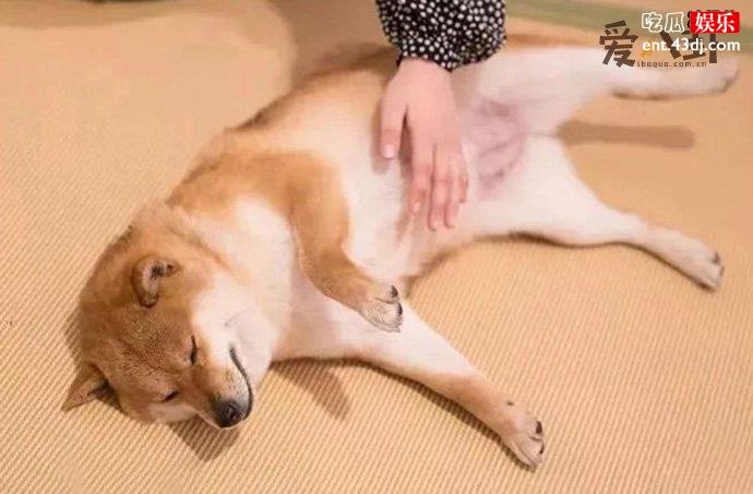 露肚子