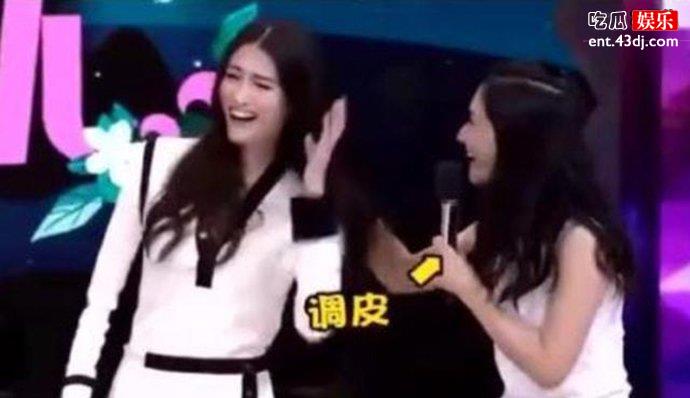 谢娜扯何穗头发