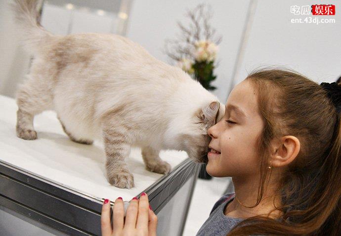 猫咪与人照片