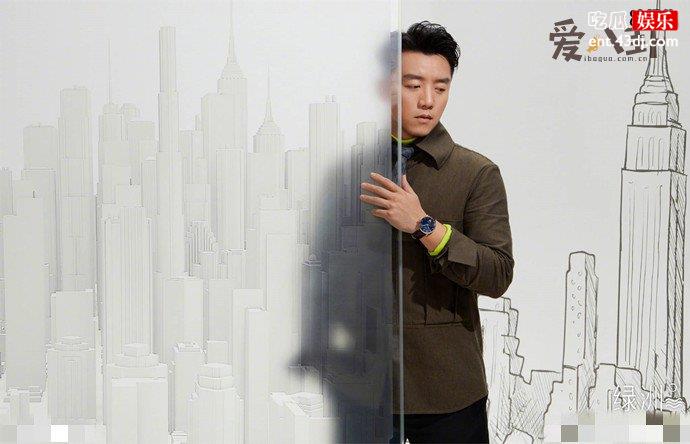 郑恺公司被强制执行3300万