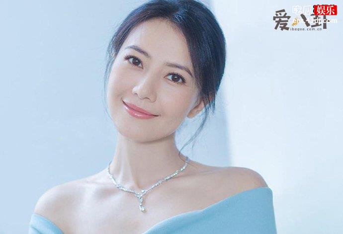 为什么说高圆圆是炮架