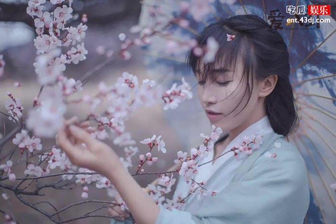 李子柒翻车现场