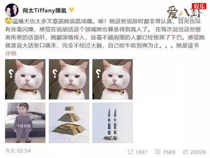 向太吐槽张柏芝