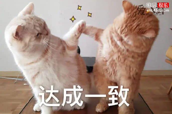 拿来吧你是什么梗