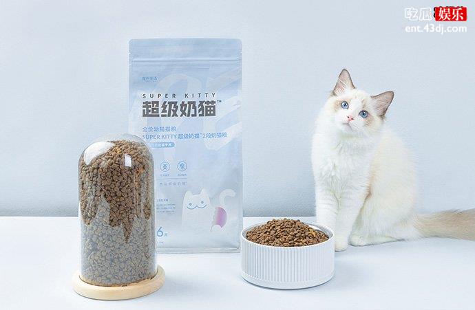 猫粮商品图
