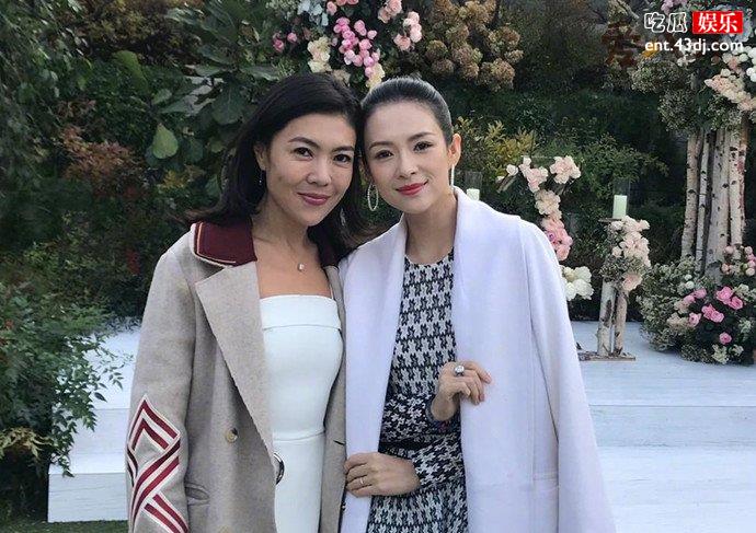 章子怡苏芒姐妹情疑似破裂