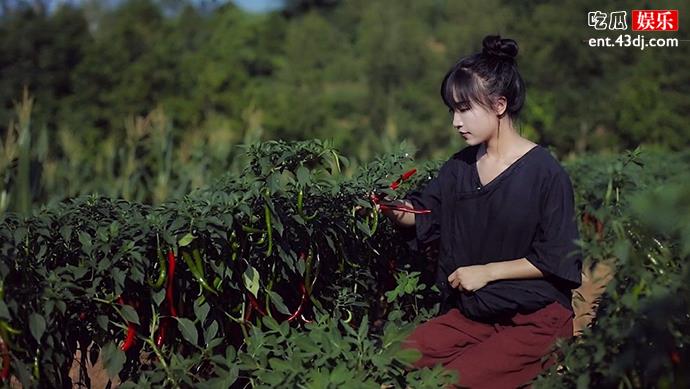 李子柒悲惨身世揭秘