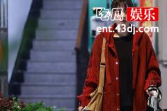 《烟火人家》李衣锦小红莓的项目为什么被暂停