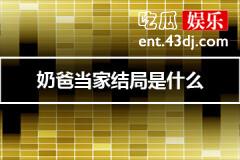 奶爸当家结局